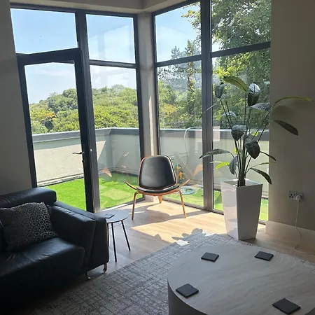 Chestnut House ليسدونفارنا